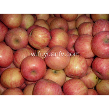 יבול חדש של תפוח פוג&#39;י טרי